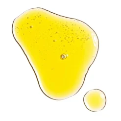 100% Organic Cold-Pressed Rose Hip Seed Oil 30ml