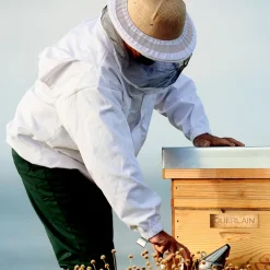 Abeille Royale Double R Eye Serum 20ml