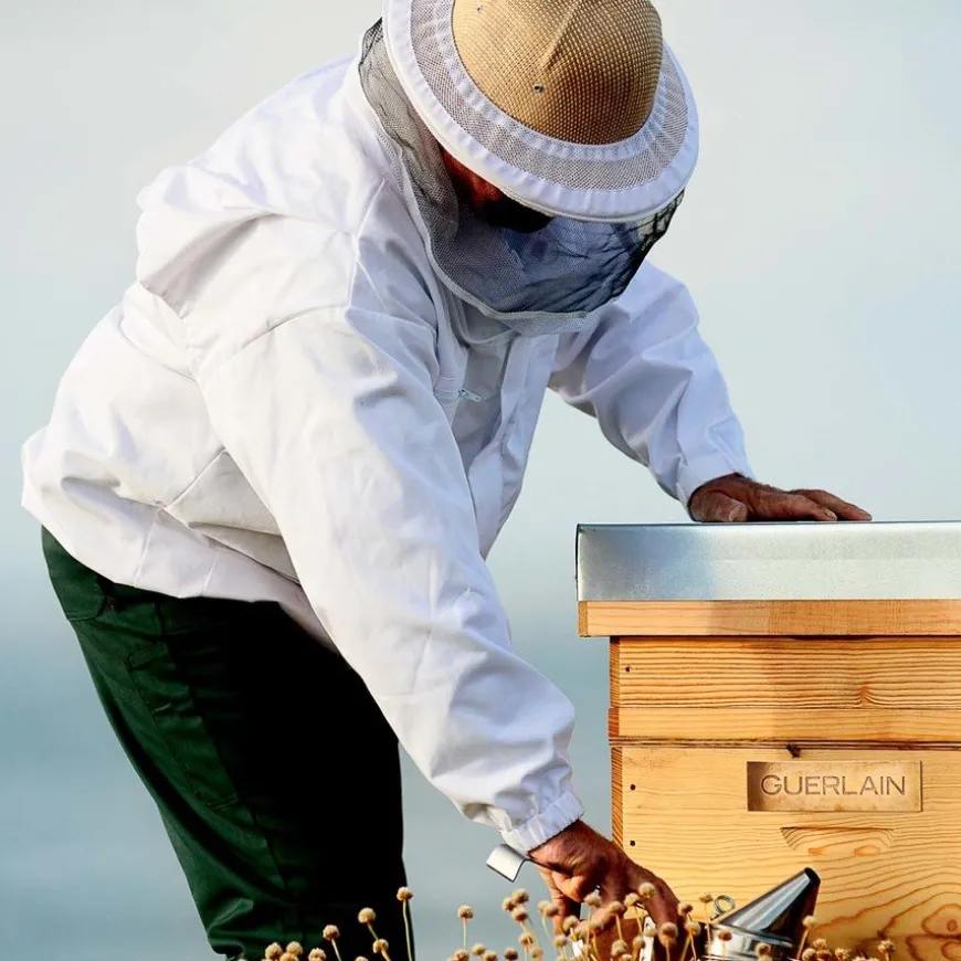 Abeille Royale Double R Serum 30ml