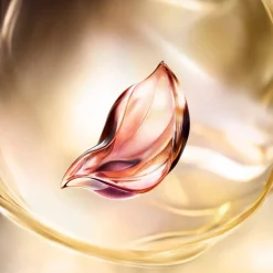 Absolue Longevity The Soft Cream 60ml