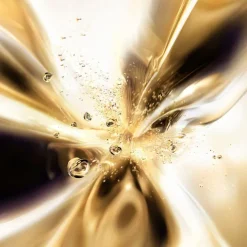 Absolue Longevity The Soft Cream 60ml