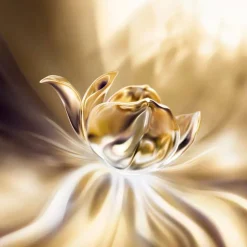 Absolue Longevity The Soft Cream 60ml