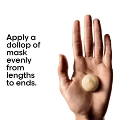 Absolut Repair Mask Thick Hair 250ml