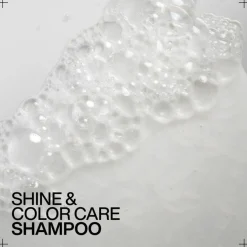 Acidic Color Gloss Shampoo 500ml