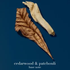 Acqua Di Giò Profondo Eau De Parfum 50ml