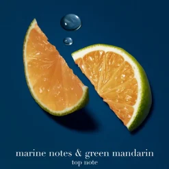 Acqua Di Giò Profondo Eau De Parfum 100ml