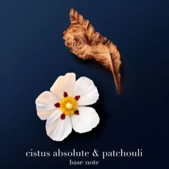 Acqua di Giò Profondo Parfum 100ml