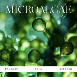 Active Algae Lightweight Moisturizer 50ml