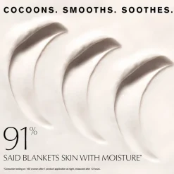 Advanced Night Repair Overnight Treatment Mask 65ml