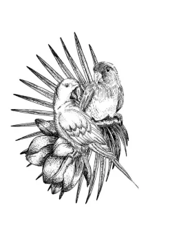 Agapi Eau De Parfum 50ml