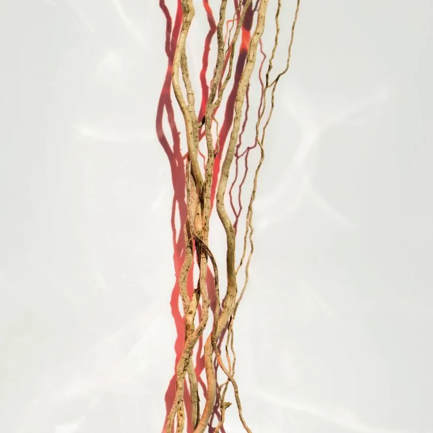 Alive Parfum Eau De Parfum 30ml