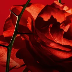 Amor Amor Eau De Toilette 30ml