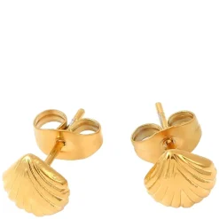 Ane Seashell Stud Earrings