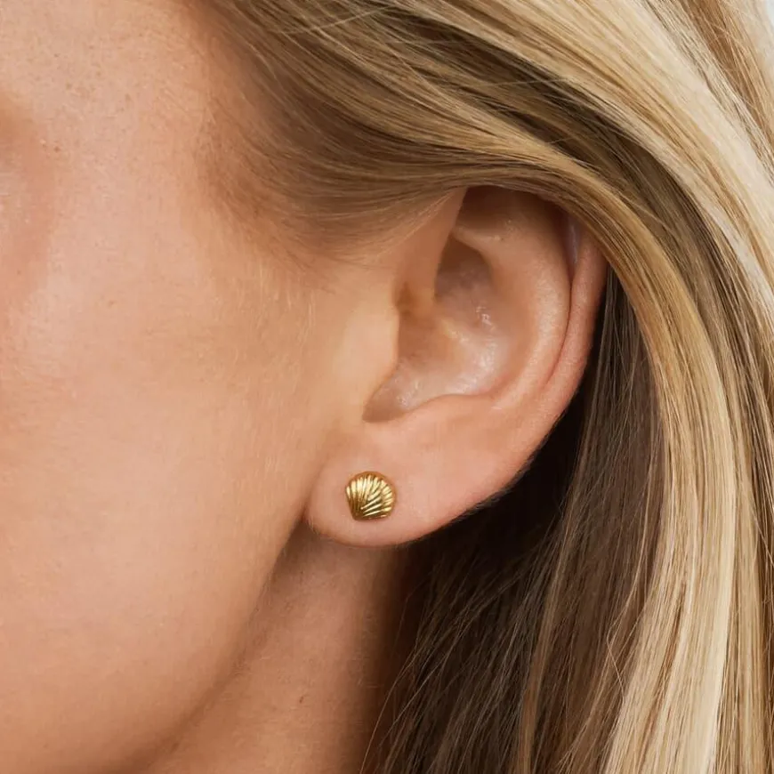 Ane Seashell Stud Earrings