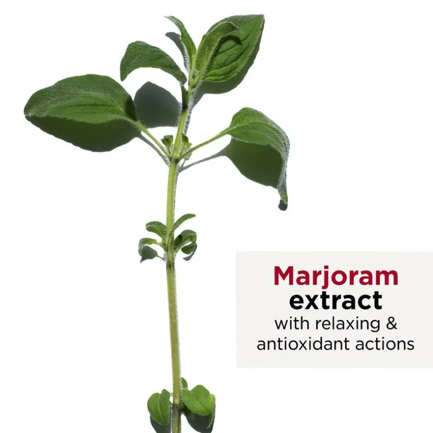 Anti Eau/Contour Body Treatment Oil 100ml