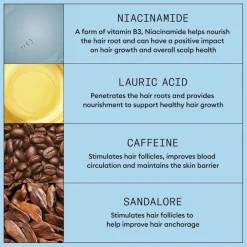 Anti Hairloss Shampoo 240ml