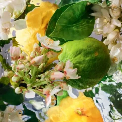 Aqua Allegoria Bergamote Calabria Eau De Toilette 75ml