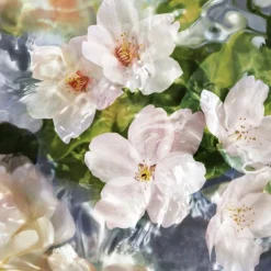 Aqua Allegoria Flora Cherrysia Eau De Toilette 75ml