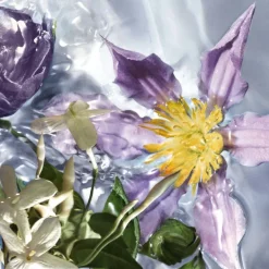 Aqua Allegoria Flora Salvaggia Eau De Toilette 75ml