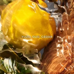 Aqua Allegoria Forte Oud Yuzu Eau De Parfum 75ml