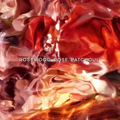 Aqua Allegoria Forte Rosa Palissandro Eau De Parfum 75ml