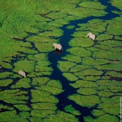 Aqua Allegoria Orange Soleia Eau De Toilette 75ml