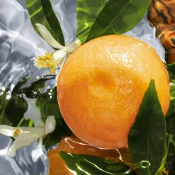 Aqua Allegoria Pamplelune Eau De Toilette 75ml