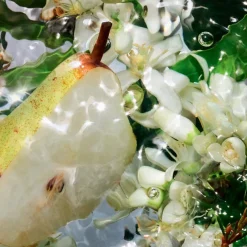 Aqua Allegoria Pera Granita Eau De Toilette 75ml