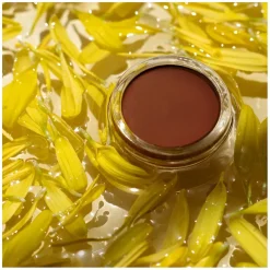 Arnica All-Cover Pot Espresso 5g