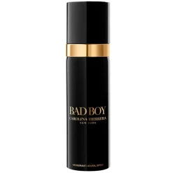 Bad Boy Deospray 100ml