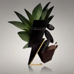 Bad Boy Eau De Toilette 50ml