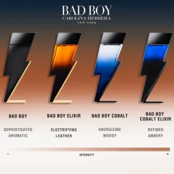 Bad Boy Elixir Eau de Parfum 100ml