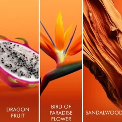 Bali Paradise Eau De Toilette 50ml