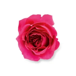 Because It's You Eau De Parfum 100ml