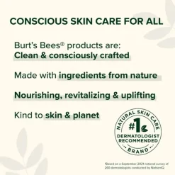 Bee Mine Lip Balm 4pcs