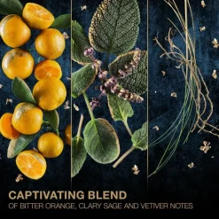 Black & Gold For Men Eau De Toilette Limited Edition 50ml