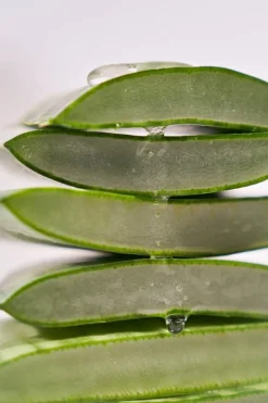 Black Rice Hyaluronic Essence 50ml