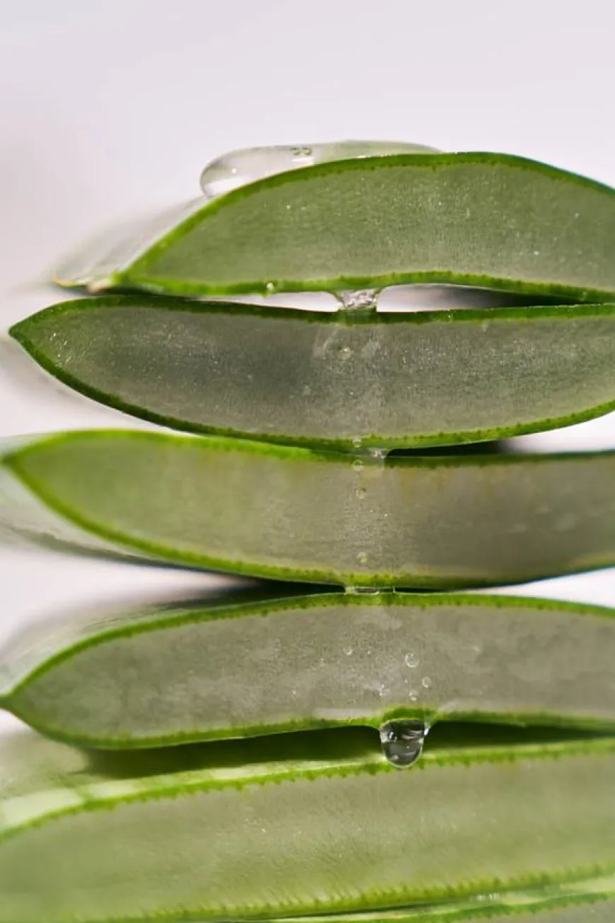 Black Rice Hyaluronic Essence 50ml