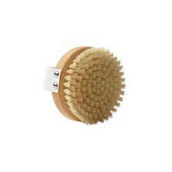 Body Brush 1pcs