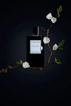 Bois D`amande Eau De Parfume 75ml