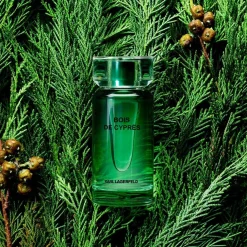 Bois De Cyprès Eau De Toilette 100ml