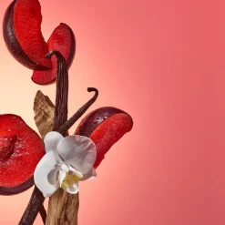 Bom Dia Bright Cream 240ml