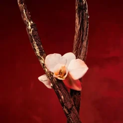 Boss Alive Absolu Eau De Parfum Intense 50ml