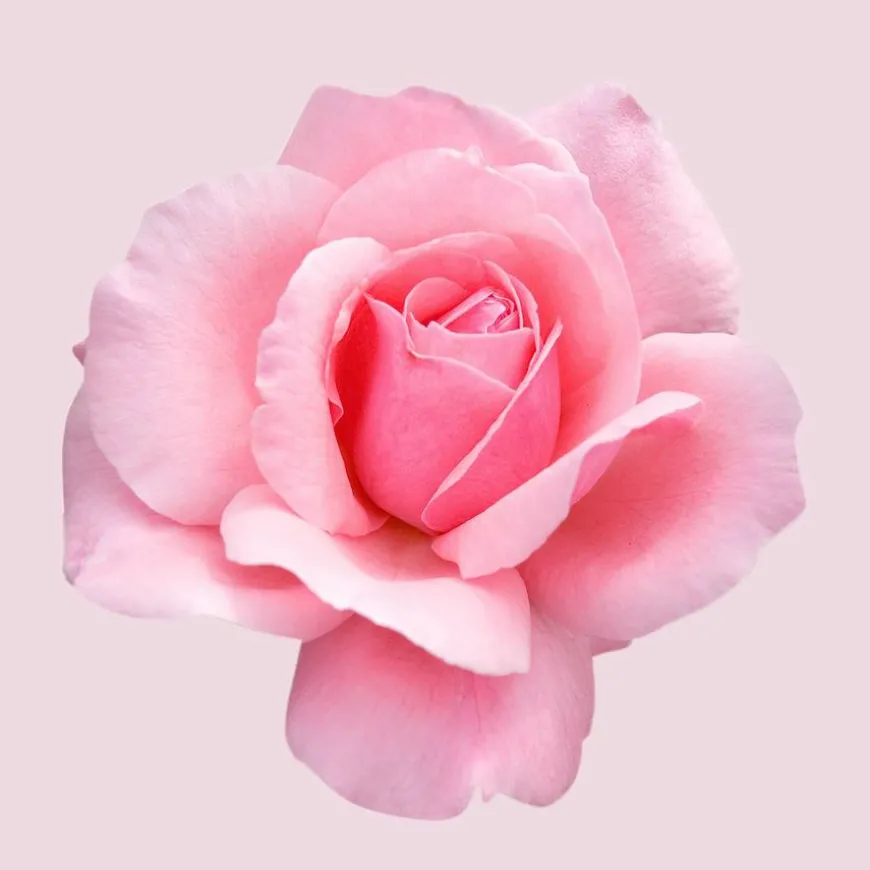 Boss Ma Vie Eau De Parfum For Women 50ml