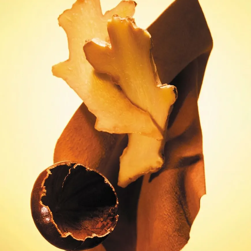 Boss The Scent Eau De Toilette For Men 100ml