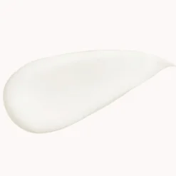 Botanical Repair Leave In Treatment 100ml