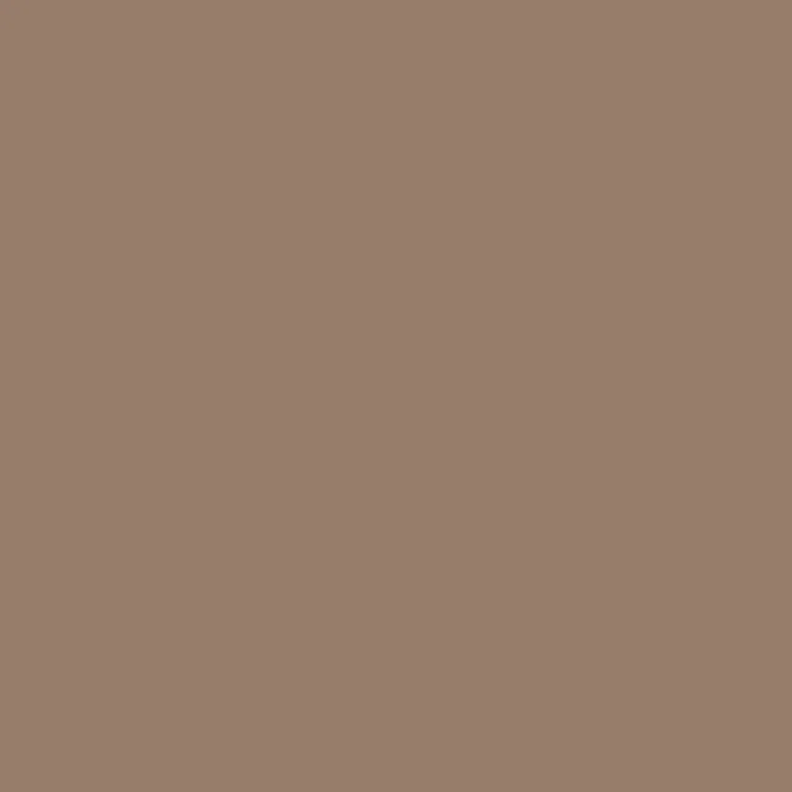 Brow Powder Duo Soft Brown 2x0,8g