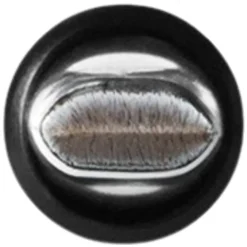 Brush 318 Retractable Lip