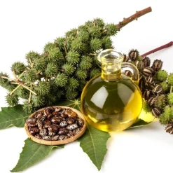 Castor Oil Pure & Natural Hair, Skin & Body Nourishment 30ml