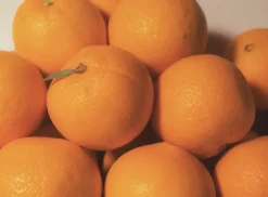 Centella 3% PHA Gentle Liquid Exfoliating Serum 120ml